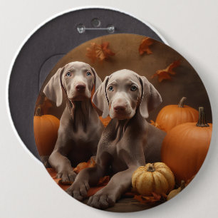 Bóton Redondo 15.24cm Weimaraner Puppy Autumn Delight Pumpkin