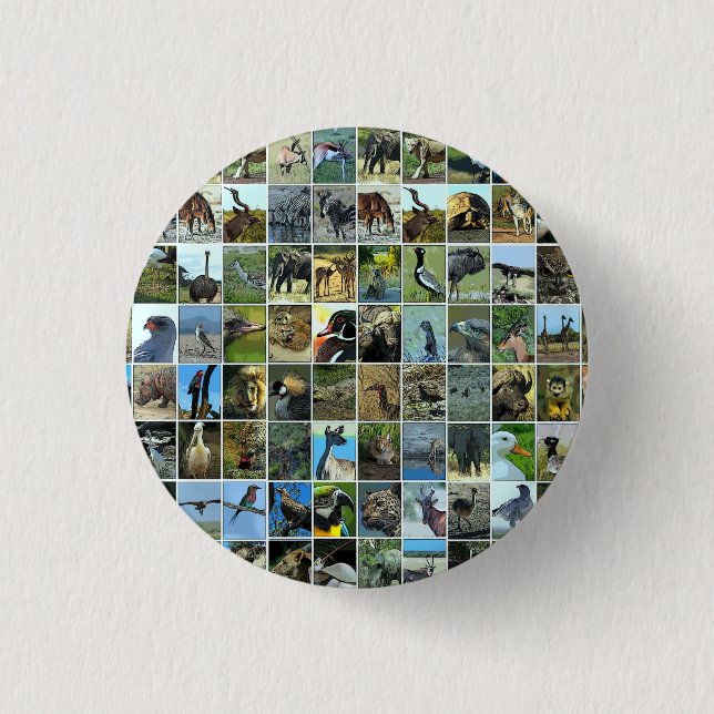 Bóton Redondo 2.54cm Animals of the world (Frente)