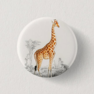 Bóton Redondo 2.54cm Antiguamente Girafa História Natural Impressão Orb