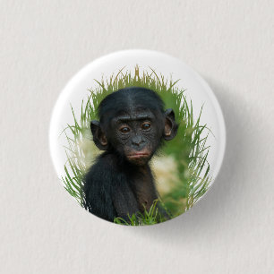 Bóton Redondo 2.54cm Baby Ape In Grass