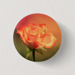 Bóton Redondo 2.54cm Belo Rosa Romântico Fotografia