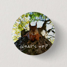 Bóton Redondo 2.54cm Bichos Engraçados De Esquilo Olá Lá De Oi