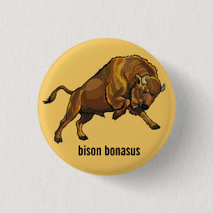 Bóton Redondo 2.54cm bisonte europeu