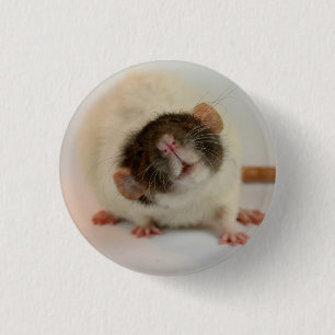 Bóton Redondo 2.54cm Black dumbo rex Rat