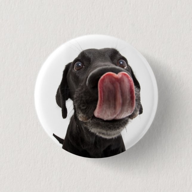 Bóton Redondo 2.54cm Black Labrador A Banhar O Nariz (Frente)