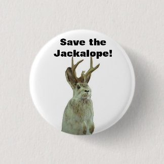 Bóton Redondo 2.54cm Bom dia Gomorrah: Salvar o Jackalope!