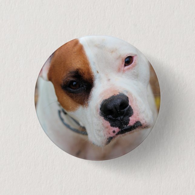 Bóton Redondo 2.54cm Boop (Frente)