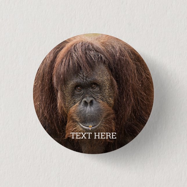 Bóton Redondo 2.54cm Borneo Orangutan - Bela Fotografia (Frente)