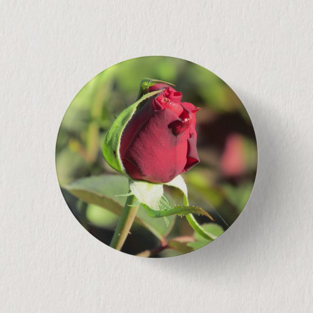 Bóton Redondo 2.54cm Botão da rosa vermelha (Frente)