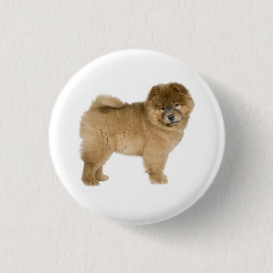 Bóton Redondo 2.54cm Botão de Amor Cachorro Chow Chow