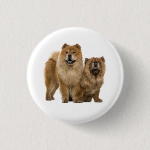 Bóton Redondo 2.54cm Botão de Amor Cachorro Chow Chow
