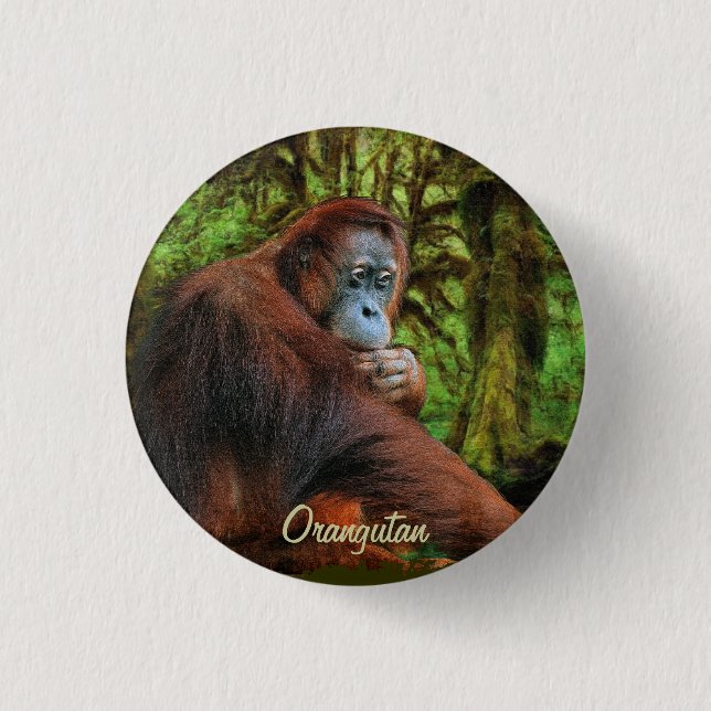 Bóton Redondo 2.54cm Botão de Arte Selvagem de Orangutan e Primato (Frente)
