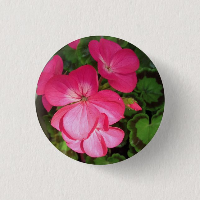 Bóton Redondo 2.54cm Botão de Fotografia Geranium rosa bonito (Frente)