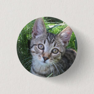 Bóton Redondo 2.54cm Botão de Gato Tabby Cinza