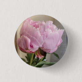 Bóton Redondo 2.54cm Botão de Pensão Rosa