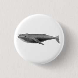 BÓTON REDONDO 2.54CM BOTÃO DE SEALIFA DE BALA