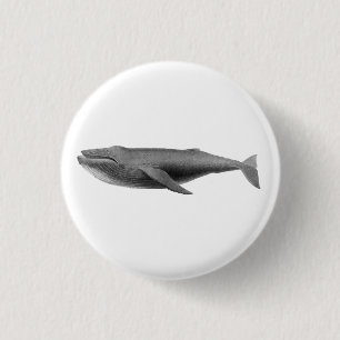 BÓTON REDONDO 2.54CM BOTÃO DE SEALIFA DE BALA
