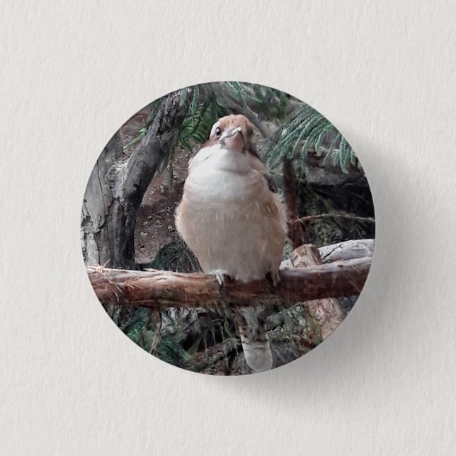 Bóton Redondo 2.54cm Botão Kookaburra (Frente)