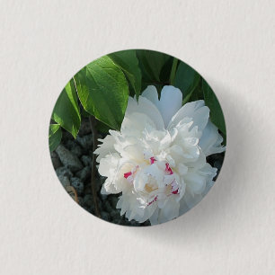 Bóton Redondo 2.54cm Botão Peony precioso