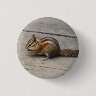 Bóton Redondo 2.54cm Botão Pinback do Chipmunk
