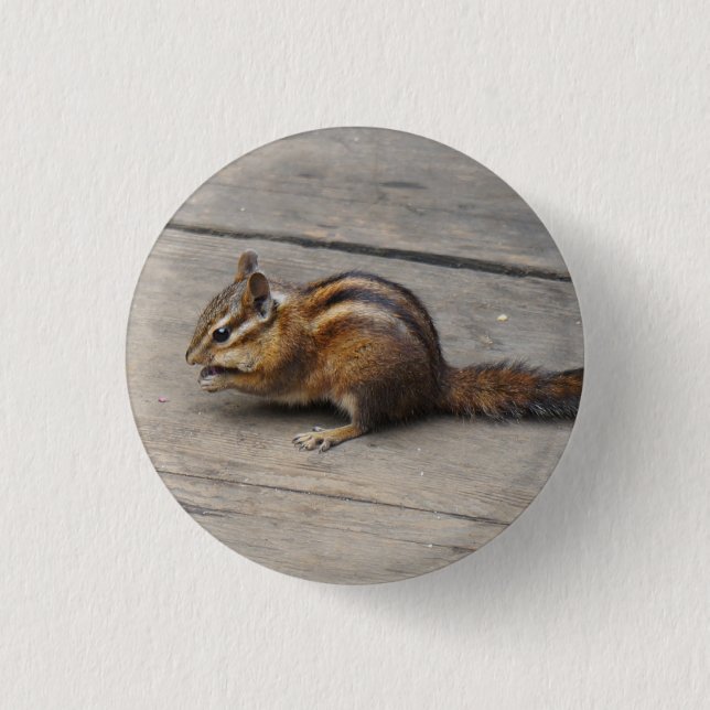 Bóton Redondo 2.54cm Botão Pinback do Chipmunk (Frente)