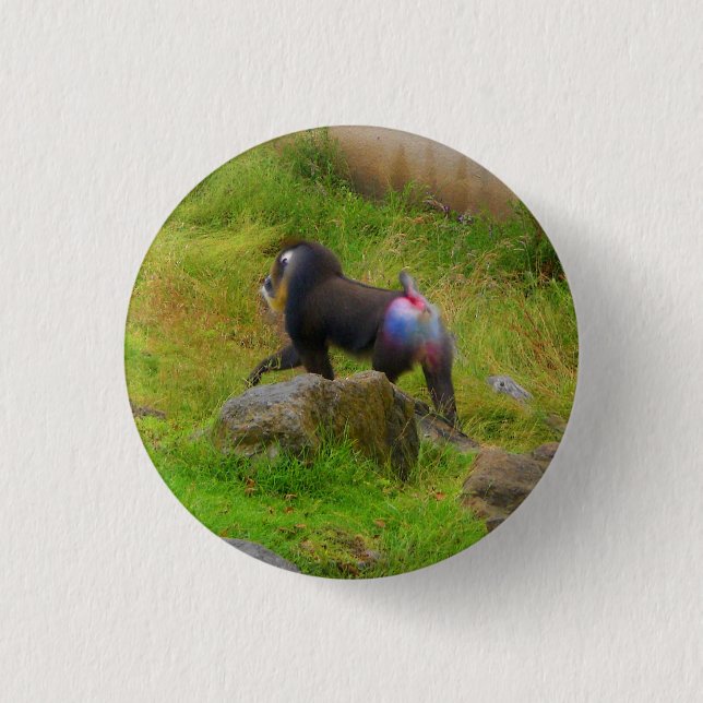 Bóton Redondo 2.54cm Botão Pinback Mandrill #4 (Frente)