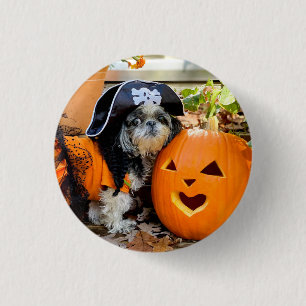 Bóton Redondo 2.54cm Botão Shih Tzu Pirate Pumpkin Pinback
