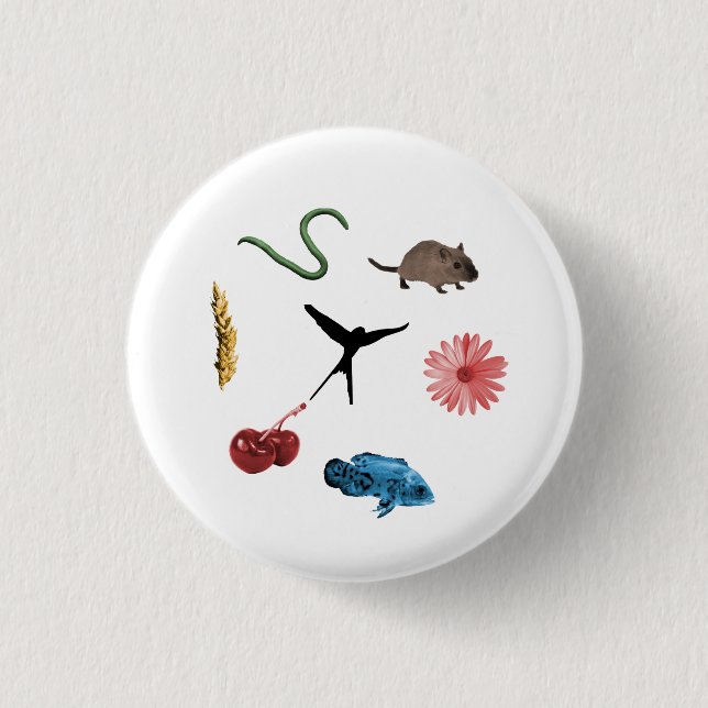 Bóton Redondo 2.54cm Botão 'Tokens de Comida' da envergadura (Frente)