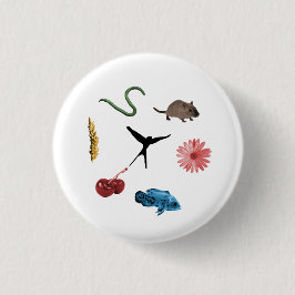 Bóton Redondo 2.54cm Botão 'Tokens de Comida' da envergadura