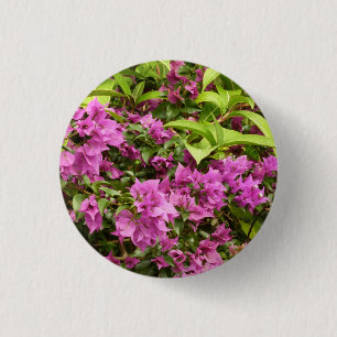 Bóton Redondo 2.54cm Bougainvillea Floral