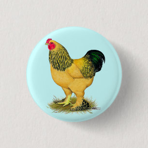 Bóton Redondo 2.54cm Brahma:  Buff Rooster