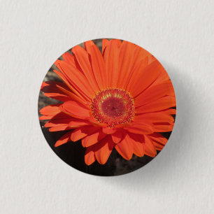 Bóton Redondo 2.54cm Bright Orange Gerbera Daisy Foto