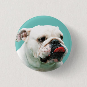 Bóton Redondo 2.54cm Cachorro-branco