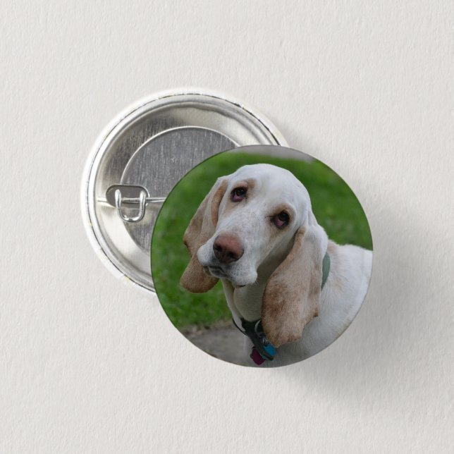 Bóton Redondo 2.54cm Cachorro Branco, Cabeça Inclinada ao Lado (Frente & Verso)