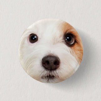 Bóton Redondo 2.54cm Cara do filhote de cachorro
