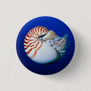 Bóton Redondo 2.54cm Close-Up de Nautilus-Camarado