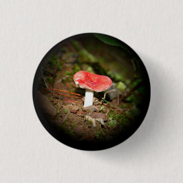 Bóton Redondo 2.54cm Cogumelo Russula de Tampa Vermelha