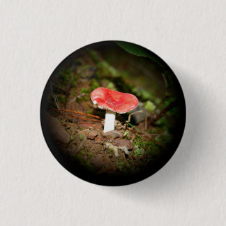 Bóton Redondo 2.54cm Cogumelo Russula de Tampa Vermelha