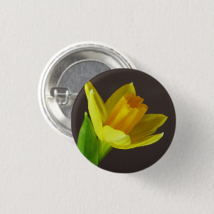 Bóton Redondo 2.54cm Colisão do Flor Daffodil Primavera amarelo