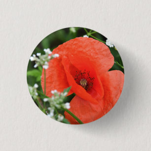 Bóton Redondo 2.54cm Colorida flor de papoila de verão em vegetação ver