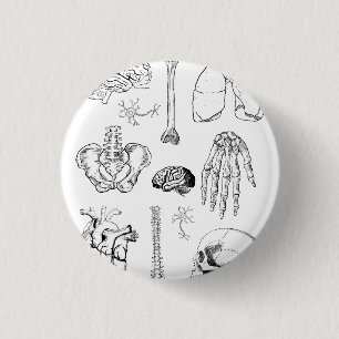 Bóton Redondo 2.54cm Conjunto de Ilustrações Médicas Antigas de Anatomi