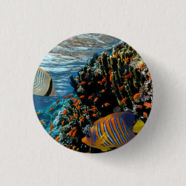 Bóton Redondo 2.54cm Coral Recife com Coral de Fogo e Peixes Exóticos