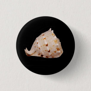 Bóton Redondo 2.54cm Crachá Conch Shell