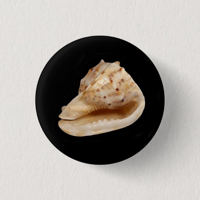 Bóton Redondo 2.54cm Crachá Conch Shell (Frente)