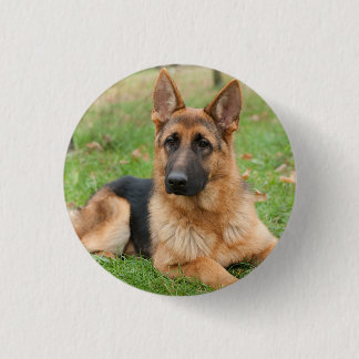 Bóton Redondo 2.54cm Crie Sua Própria Foto Personalizada de Animal de E
