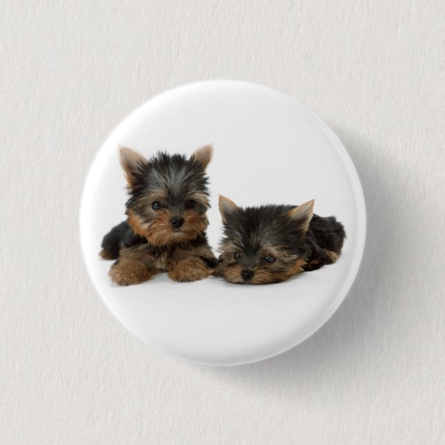 Bóton Redondo 2.54cm Cute Yorkshire Terrier cachorrinhos (Frente)