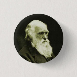 Bóton Redondo 2.54cm darwin