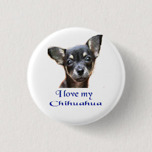 Bóton Redondo 2.54cm Eu amo meu Chihuahua