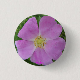 Bóton Redondo 2.54cm F11 Rosa Selvagem da Pradaria "Rosa arkansana"