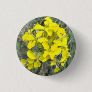 Bóton Redondo 2.54cm F14 Flores Silvestres Amarelas